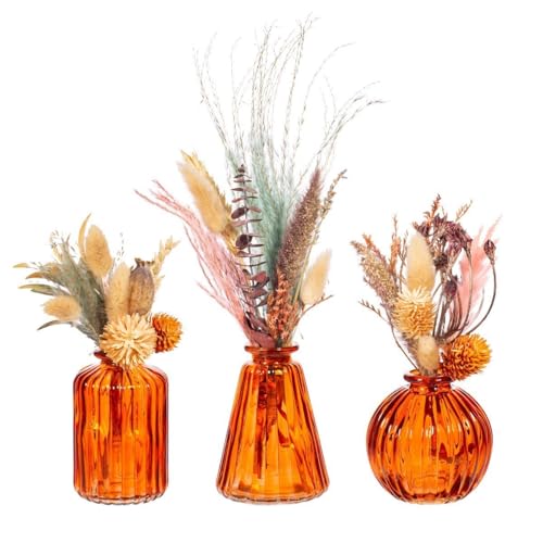 Sass & Belle Amber Glass Bud Vases - Set of 3 Sass & Belle