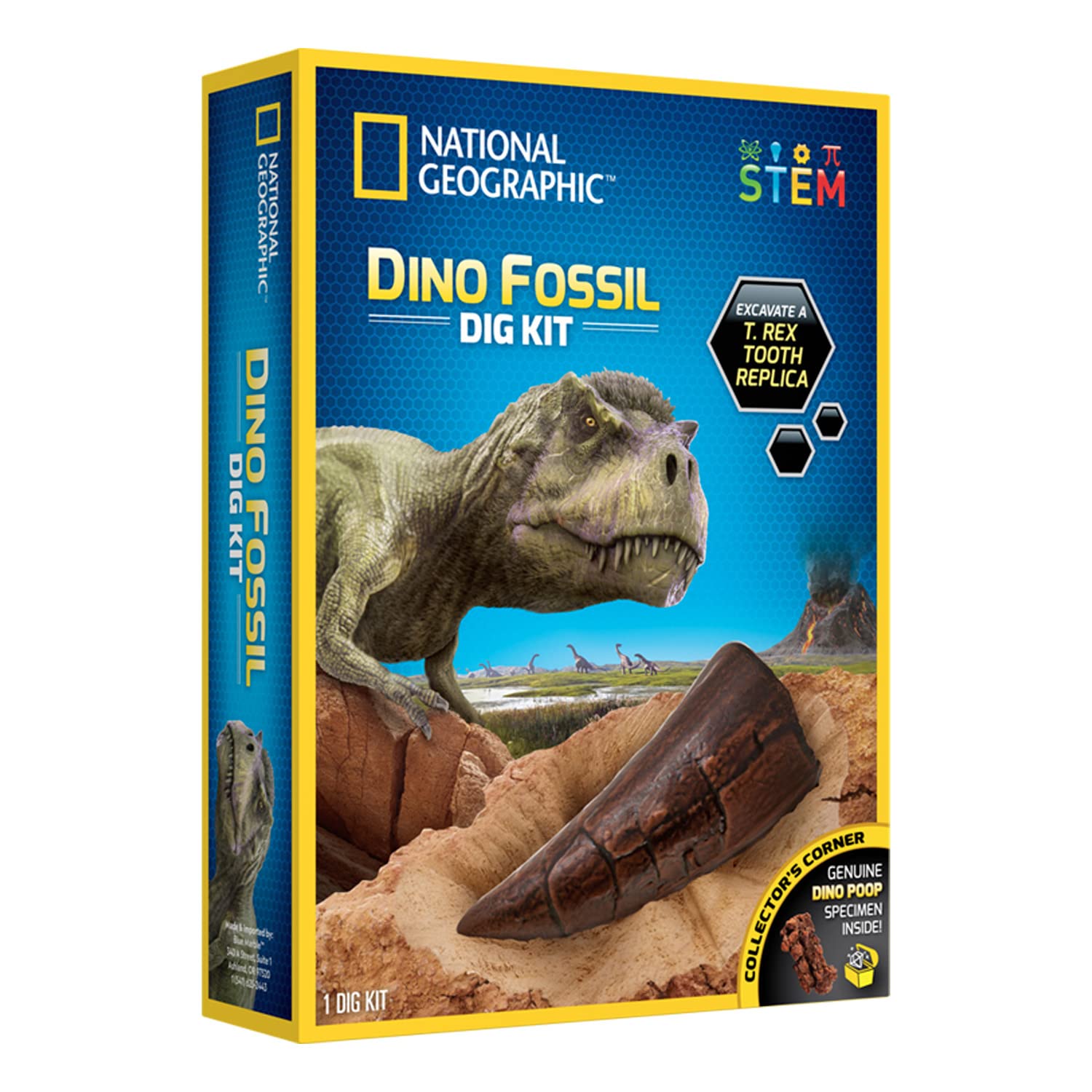 Bandai National Geographic Excavation Kit 3 Dinosaur Fossils to Dig Out BANDAI