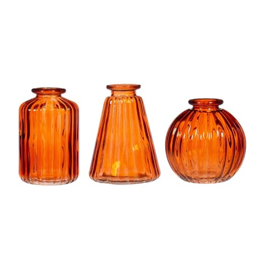 Sass & Belle Amber Glass Bud Vases - Set of 3 Sass & Belle