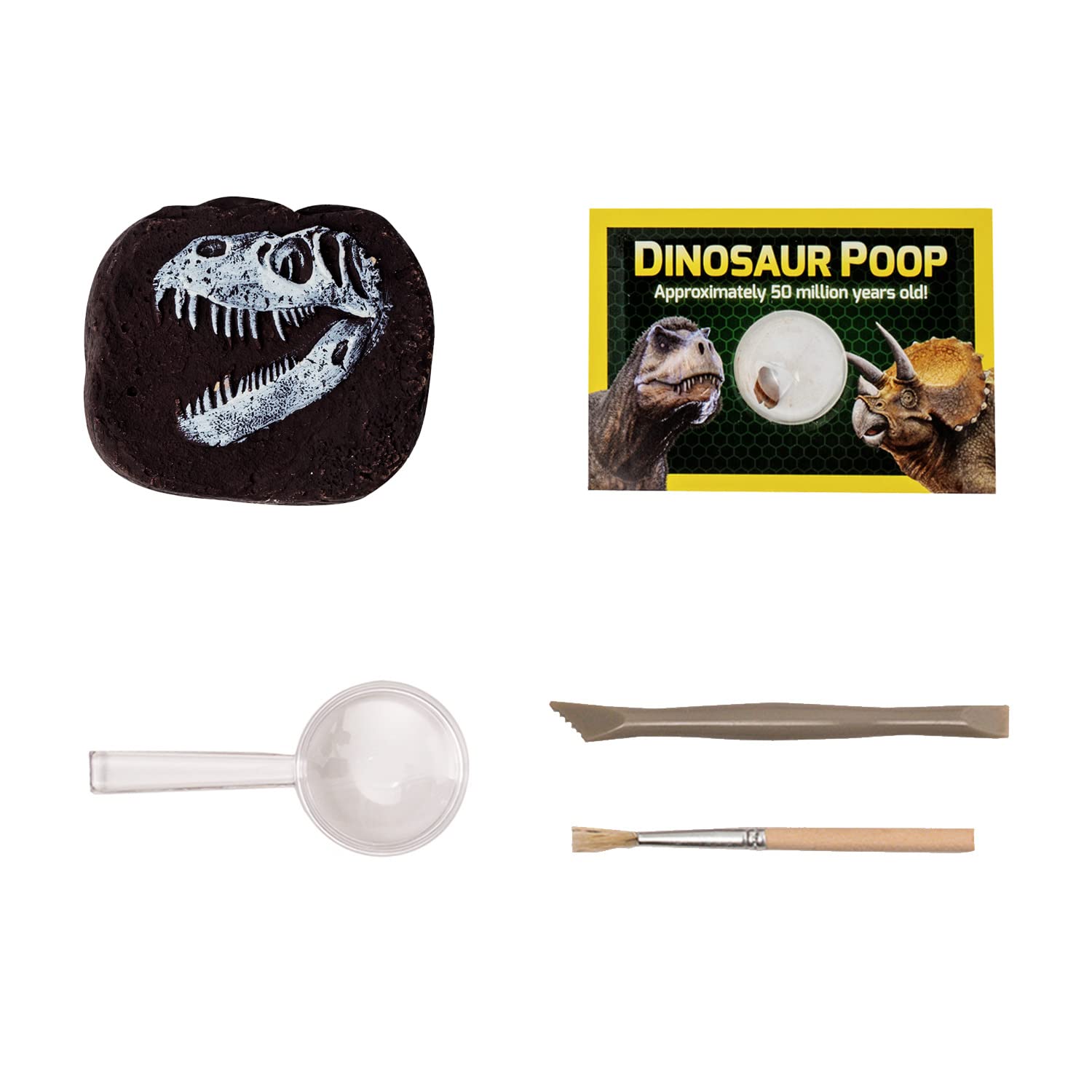 Bandai National Geographic Excavation Kit 3 Dinosaur Fossils to Dig Out BANDAI