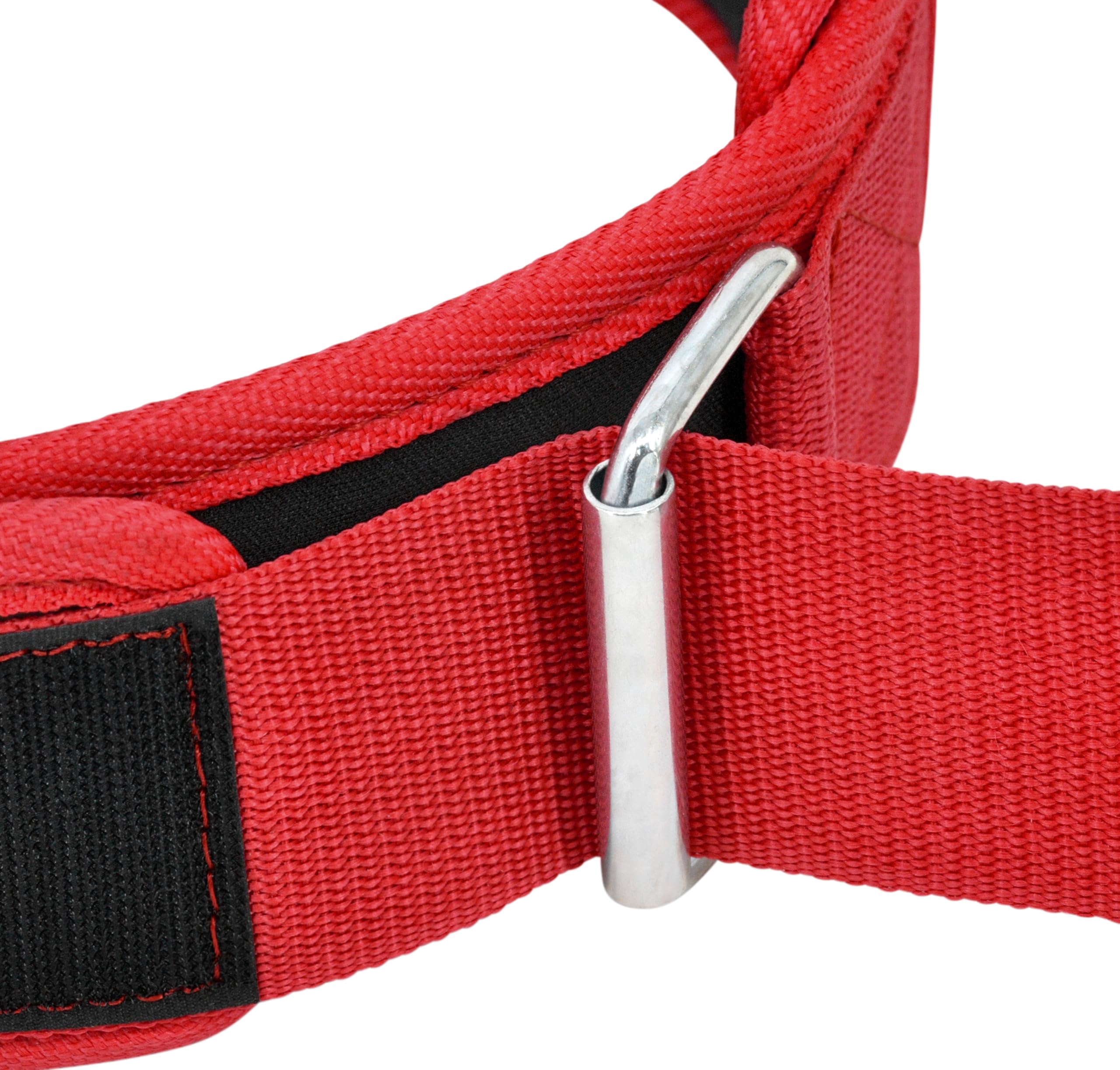 RDX Weight Lifting Belt Unisex, Durable EVA Foam Padding, Iron Buckle, Back Soft Support RDX