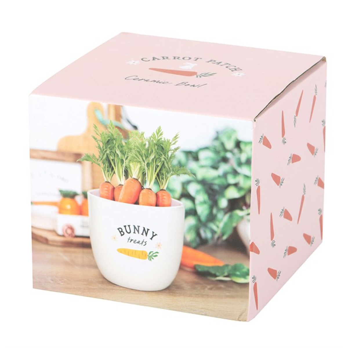 Bunny Treats Ceramic Pot Something Different