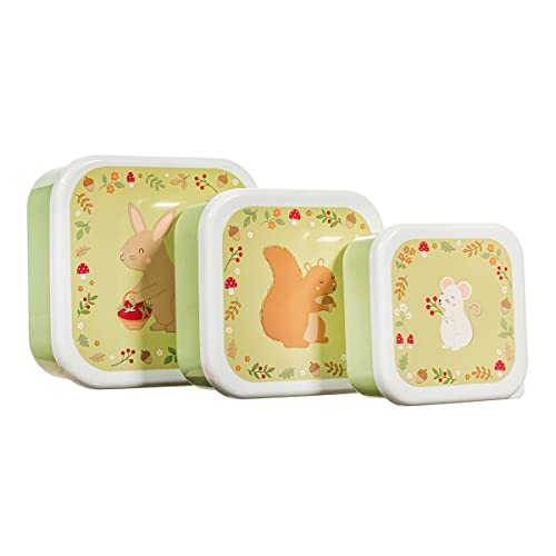 Sass & Belle Garden Friends Lunch Boxes - Set of 3 Sass & Belle