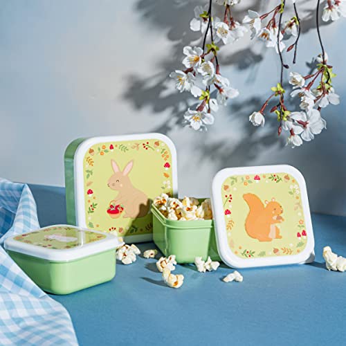 Sass & Belle Garden Friends Lunch Boxes - Set of 3 Sass & Belle