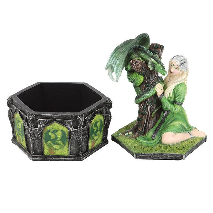 Dragon Friendship Summer Box by Anne Stokes N/A