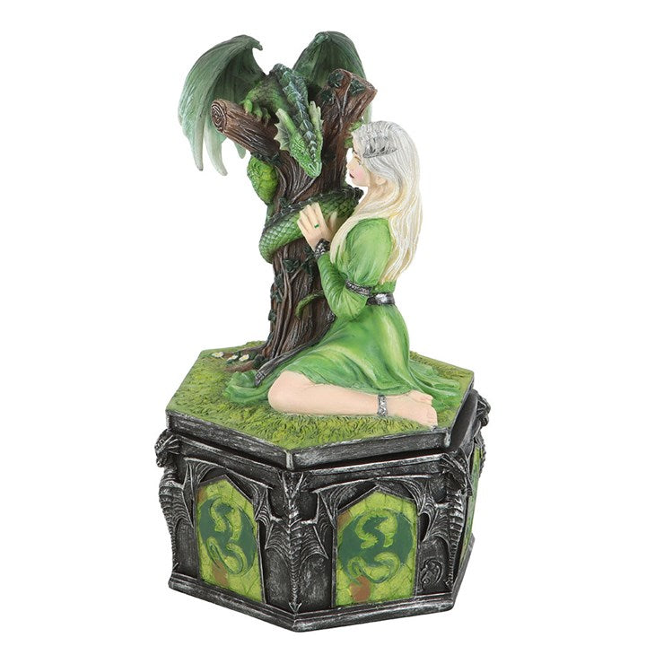 Dragon Friendship Summer Box by Anne Stokes N/A