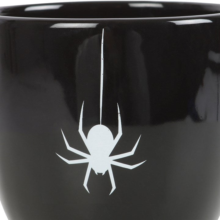 Black Spider Teacup Something Different