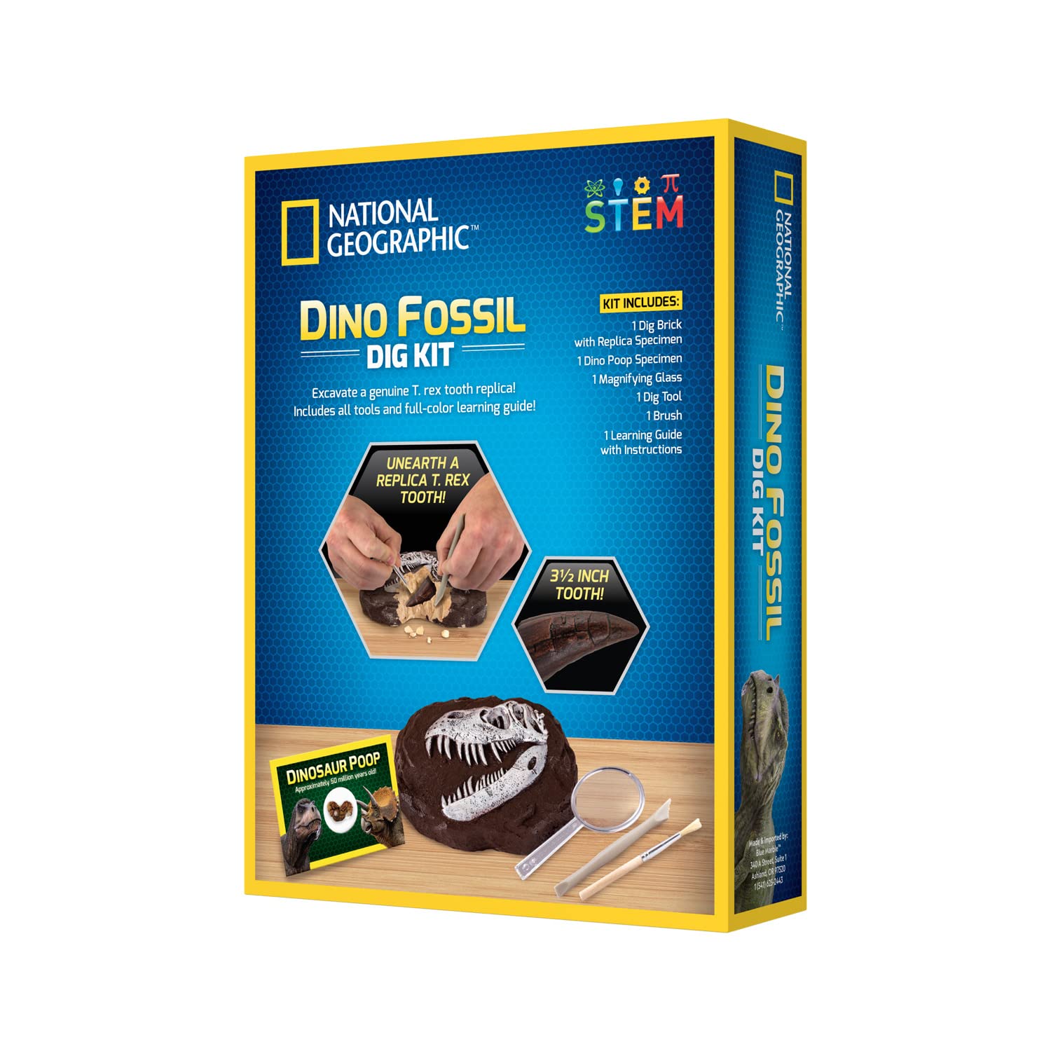Bandai National Geographic Excavation Kit 3 Dinosaur Fossils to Dig Out BANDAI