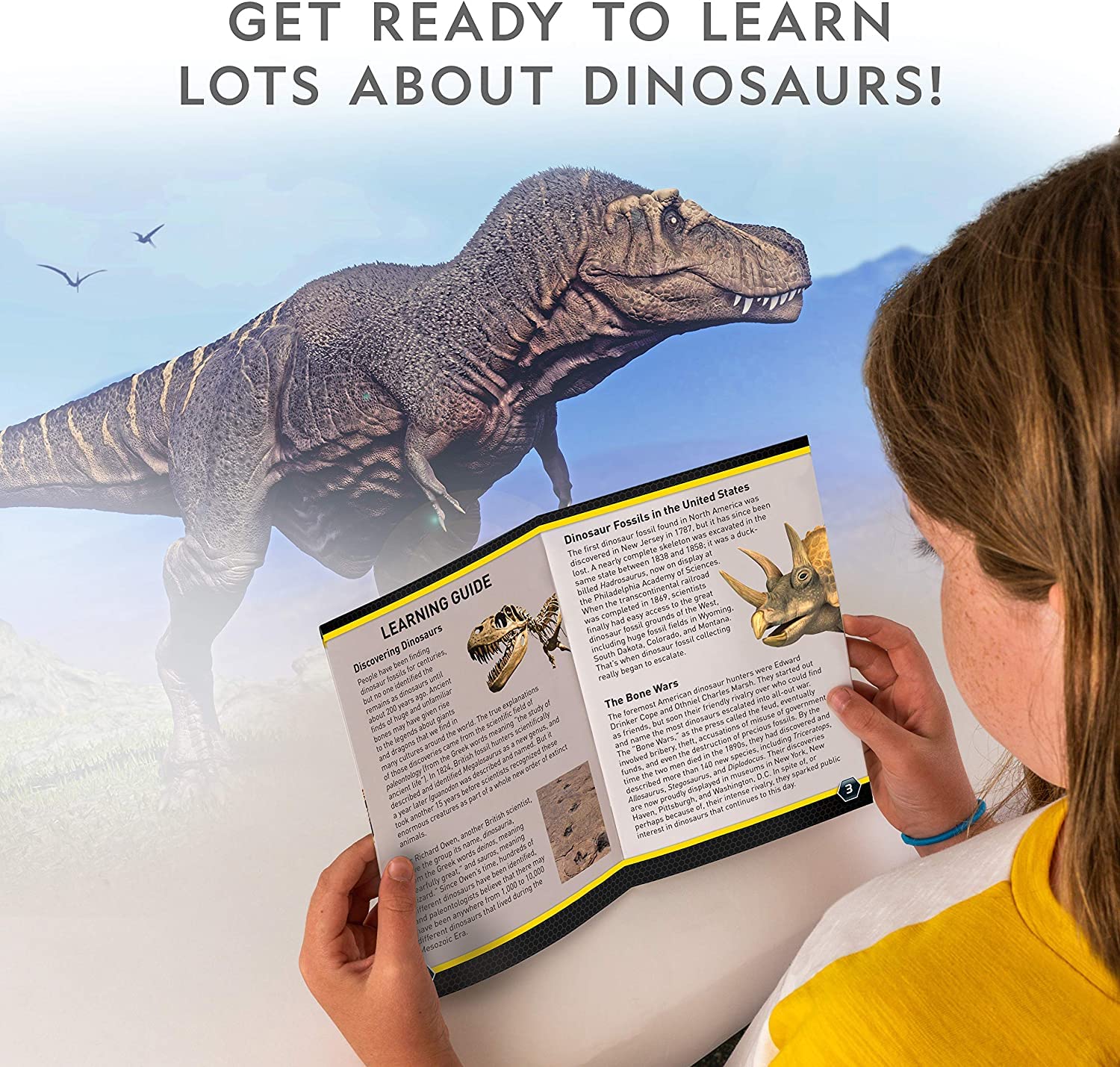 Bandai National Geographic Excavation Kit 3 Dinosaur Fossils to Dig Out BANDAI
