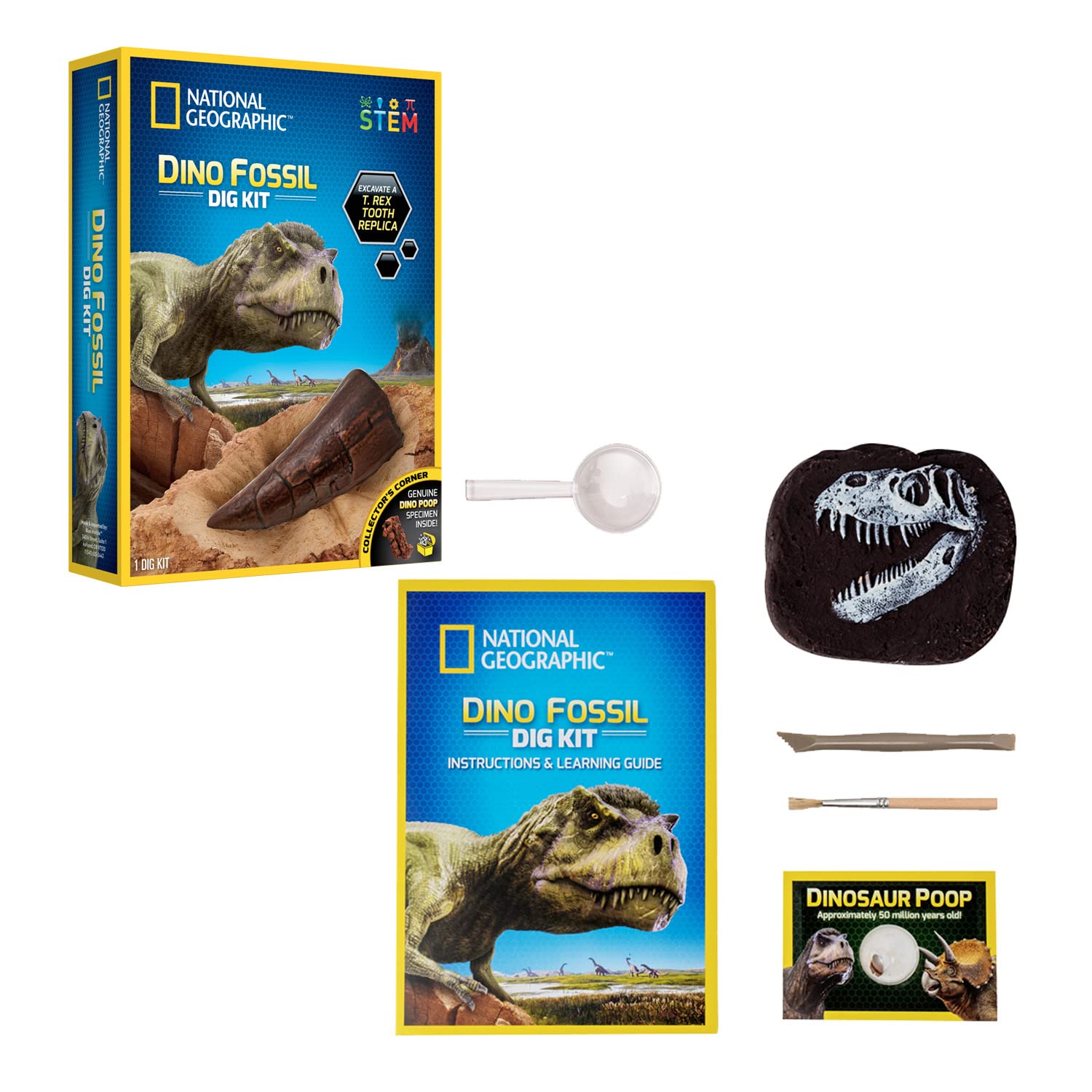 Bandai National Geographic Excavation Kit 3 Dinosaur Fossils to Dig Out BANDAI