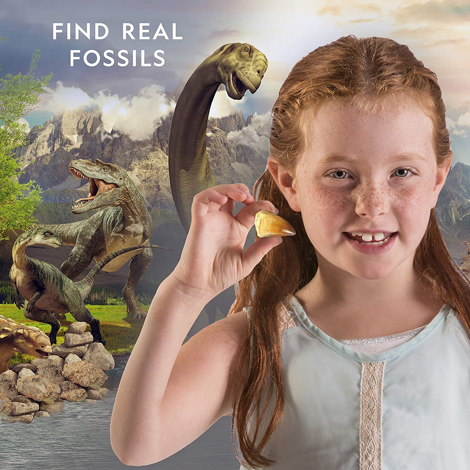 Bandai National Geographic Excavation Kit 3 Dinosaur Fossils to Dig Out BANDAI
