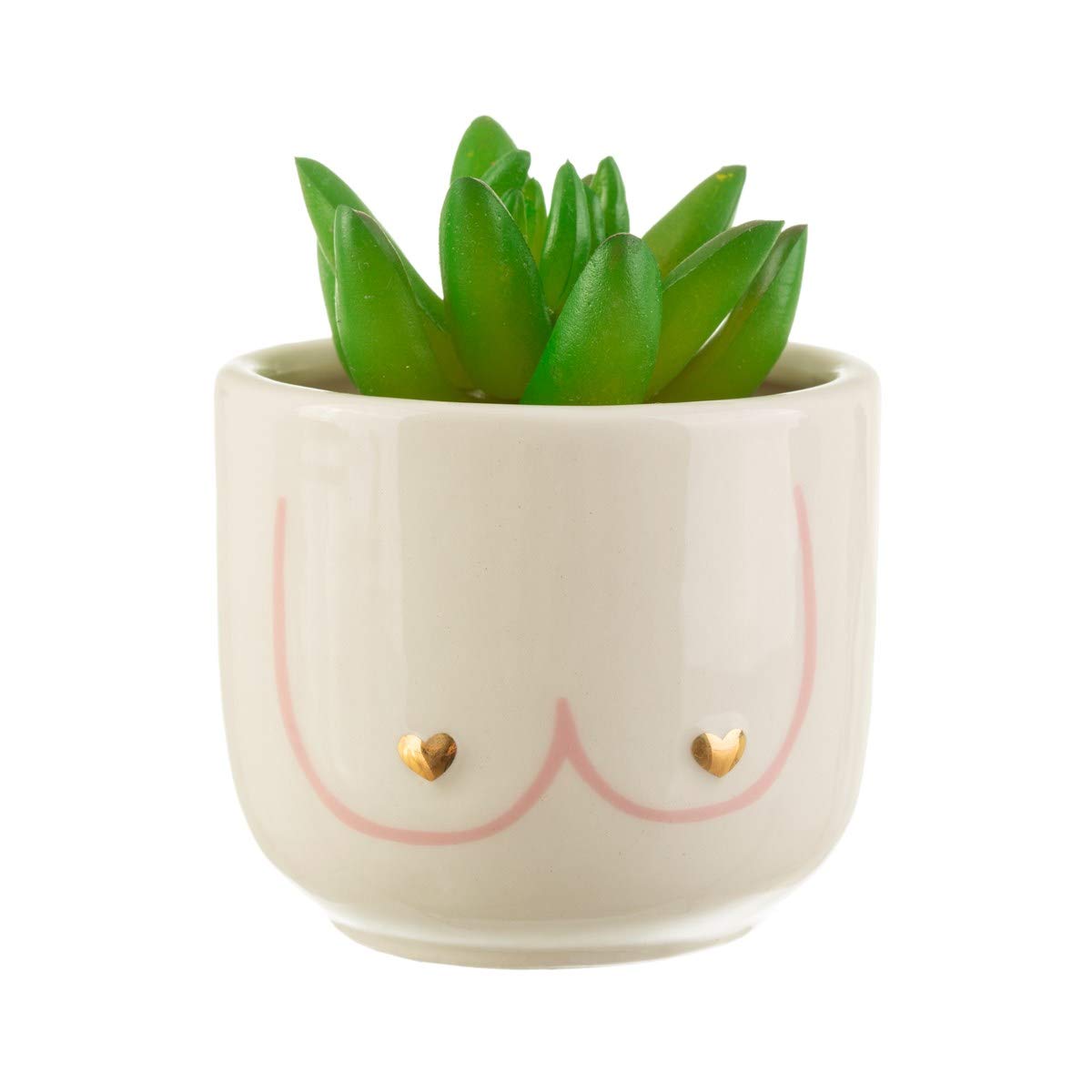 Sass & Belle Mini Girl Power Boobies Planter Sass & Belle
