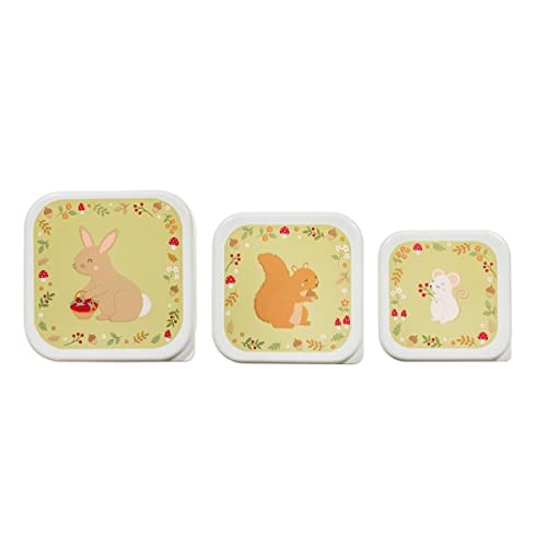 Sass & Belle Garden Friends Lunch Boxes - Set of 3 Sass & Belle