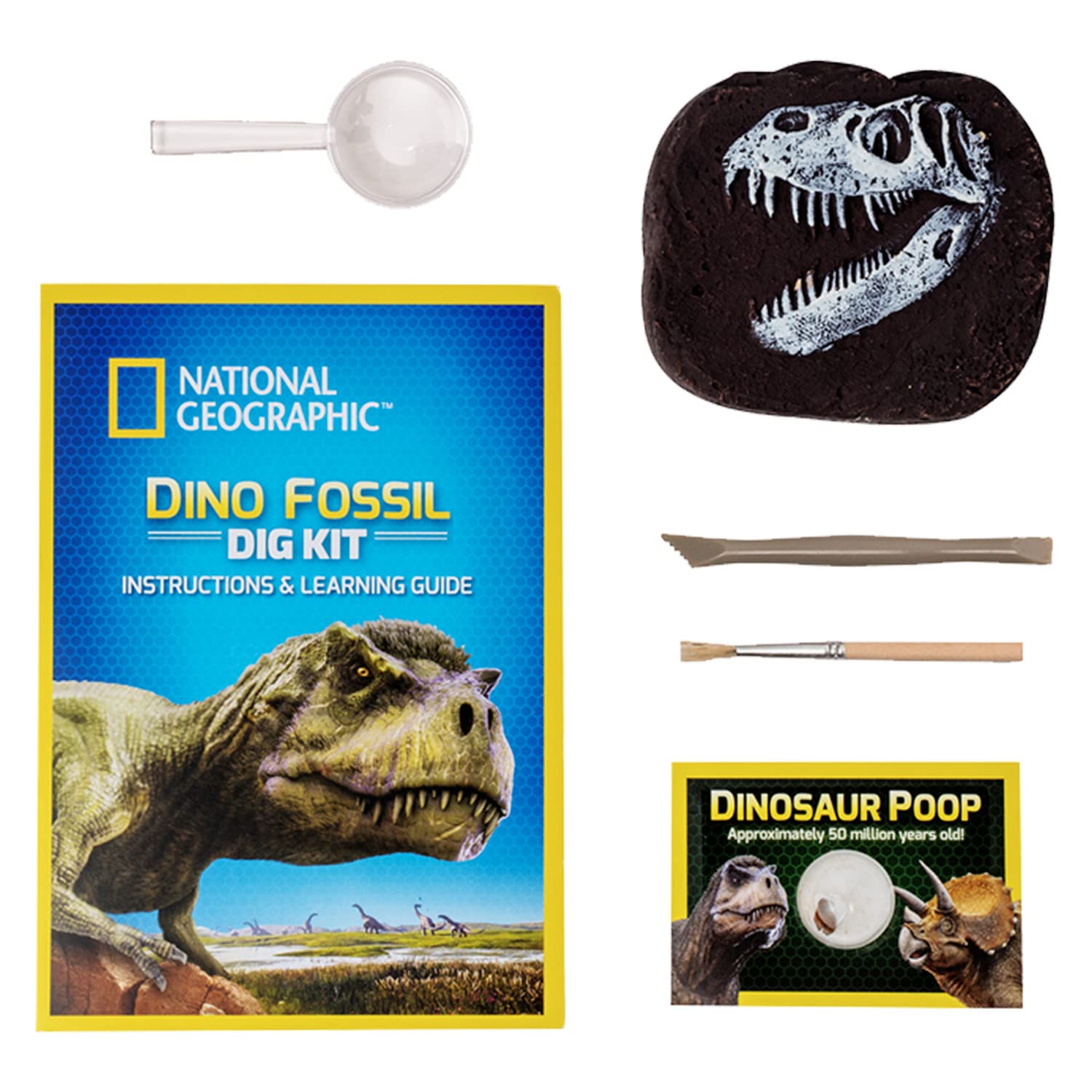 Bandai National Geographic Excavation Kit 3 Dinosaur Fossils to Dig Out BANDAI