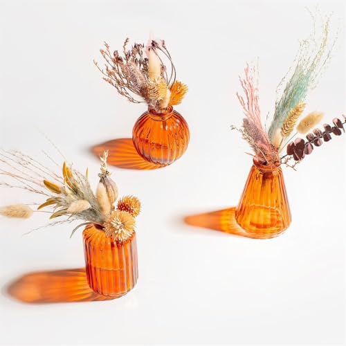 Sass & Belle Amber Glass Bud Vases - Set of 3 Sass & Belle