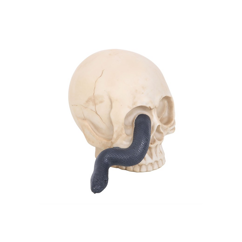 Skull Ornament with Snake