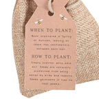 24 Garden Seed Balls in a Bag