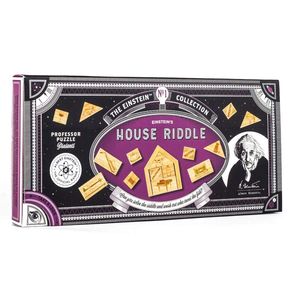 Professor Puzzle Einstein’s House Riddle - Brain Teaser Puzzle Professor PUZZLE