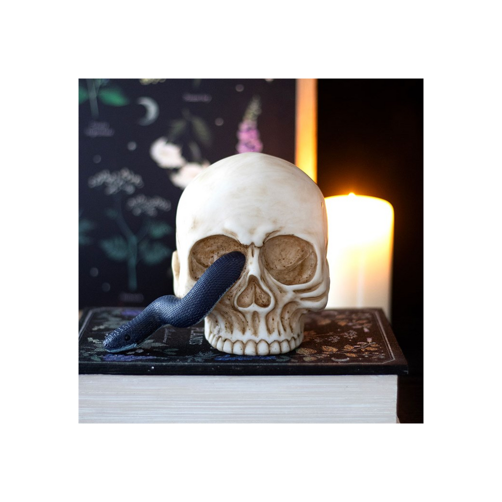 Skull Ornament with Snake