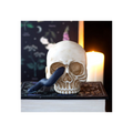 Skull Ornament with Snake
