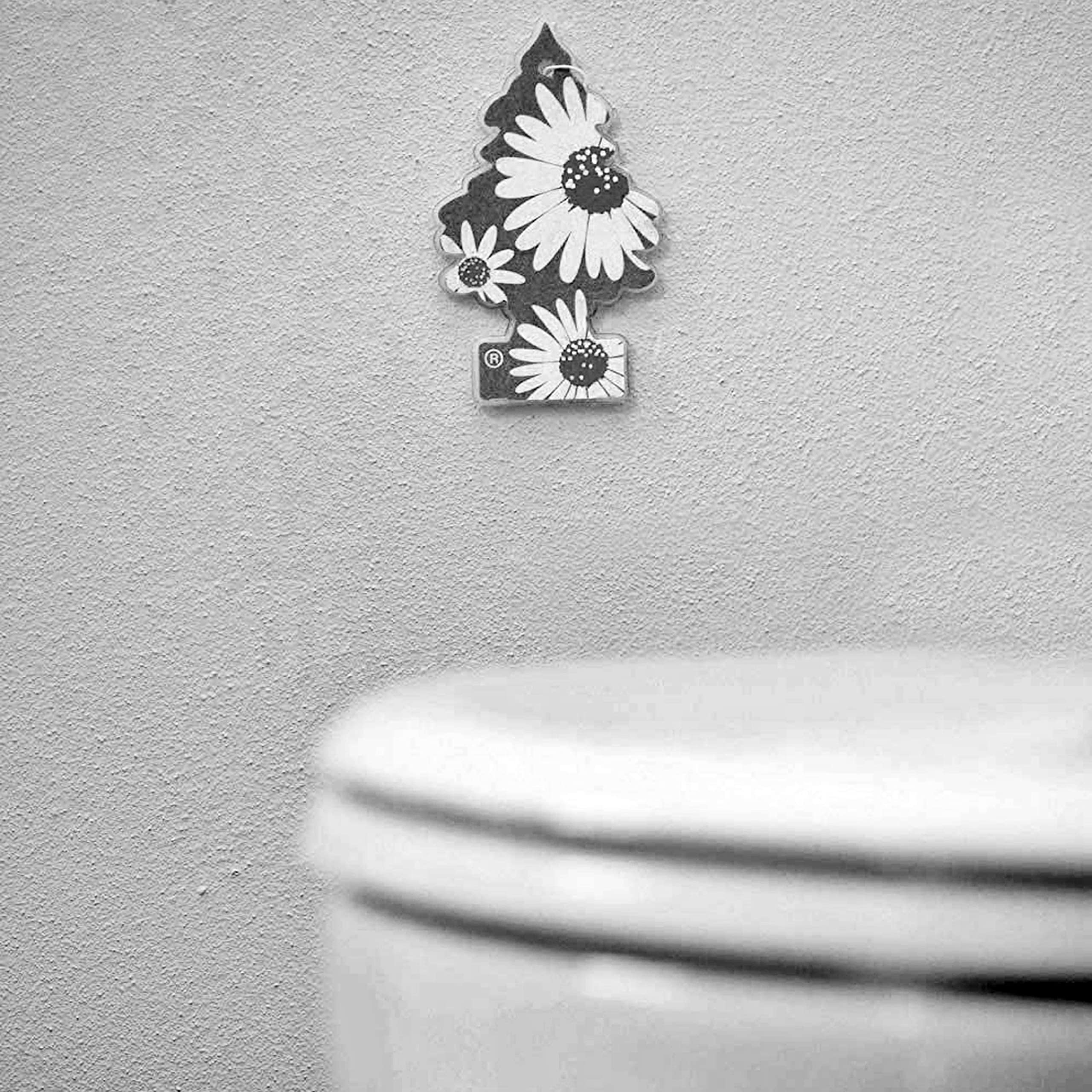 Little Trees Air Freshener Tree set of 3 LITTLE TREES