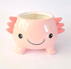 Sass & Belle Axolotl Planter – Ceramic Indoor Plant Pot