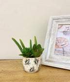 Sass & Belle Busy Bees Small Planter Sass & Belle