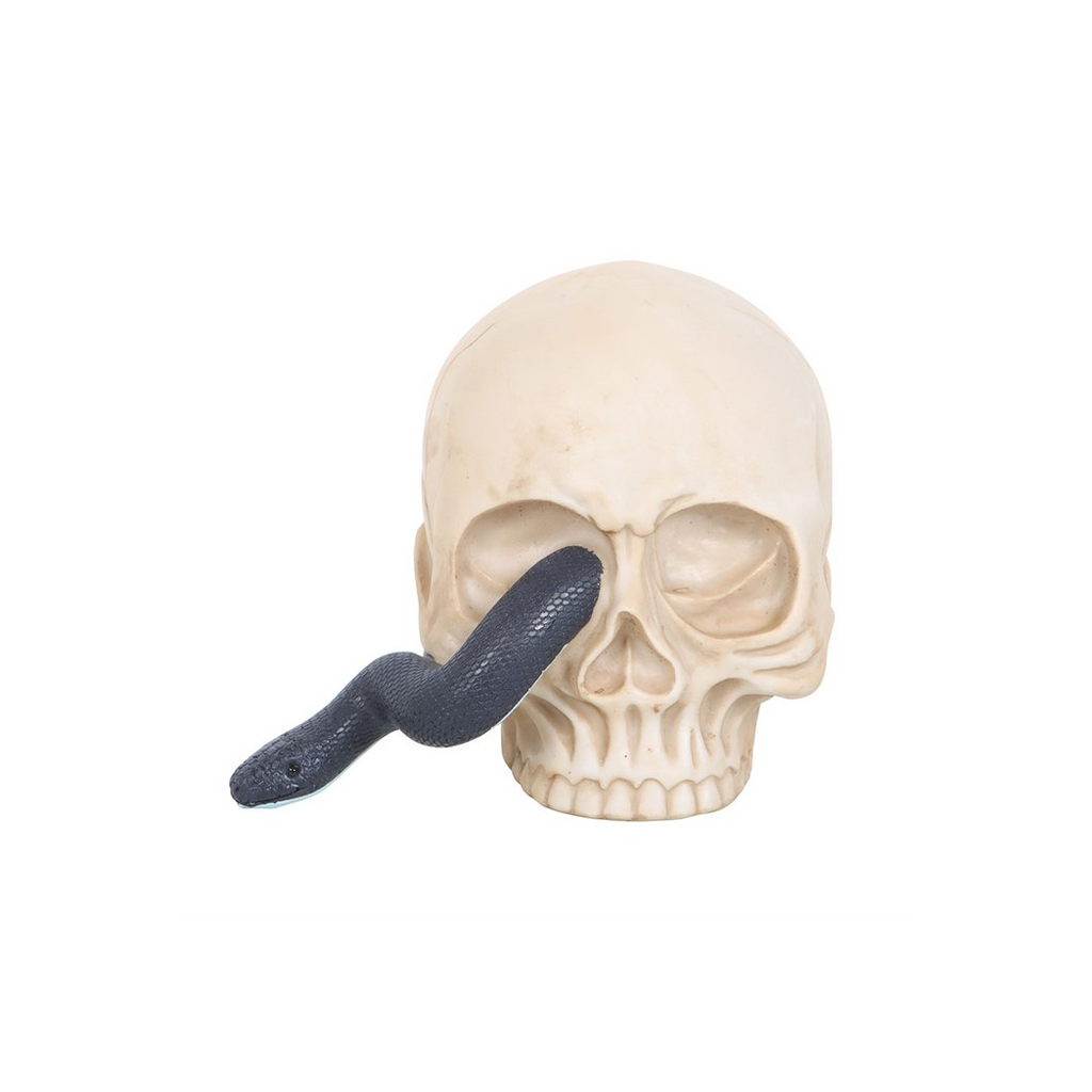 Skull Ornament with Snake