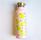 Sass & Belle Insulated Water Bottle 500ml (Frog & Capybara)