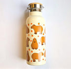 Sass & Belle Insulated Water Bottle 500ml (Frog & Capybara)