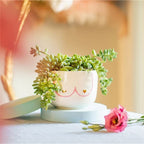 Sass & Belle Large Girl Power Boobies White Planter
