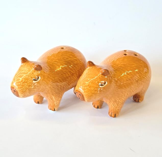 Sass & Belle Capybara Salt & Pepper Shakers