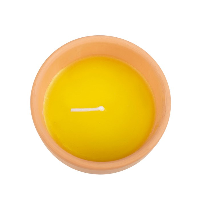 Gardener of the Year Citronella Candle