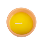 Gardener of the Year Citronella Candle