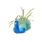 Sass & Belle Peacock Ceramic Indoor Planter
