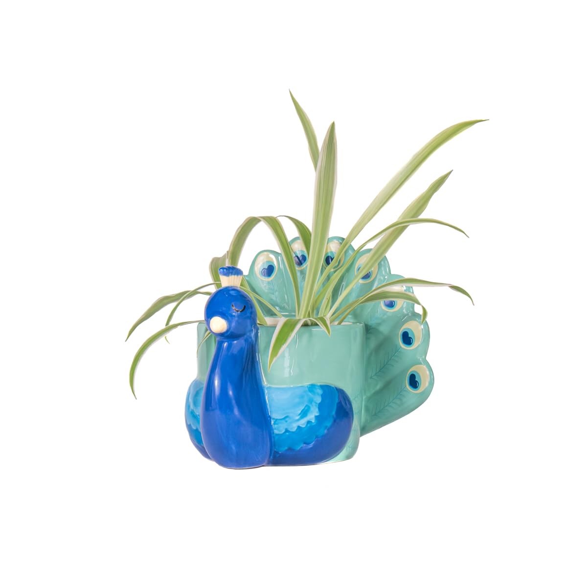 Sass & Belle Peacock Ceramic Indoor Planter