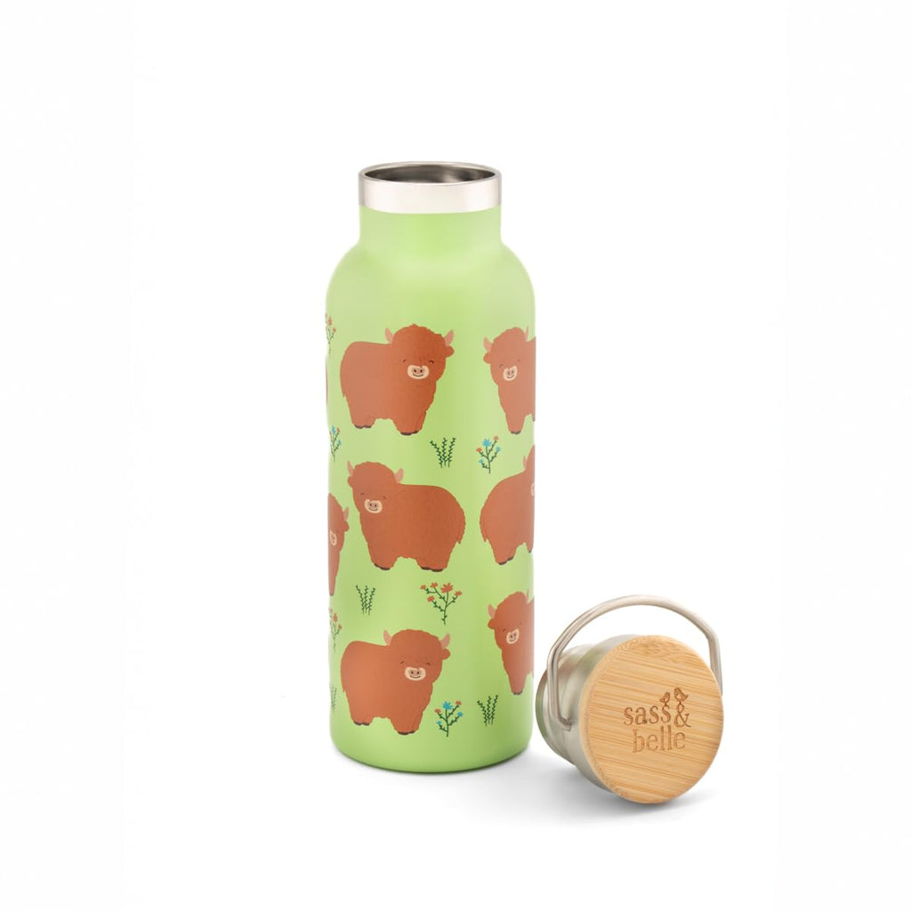 Sass & Belle Cherry/Frog/Highland Cow Metal Water Bottle 500ml
