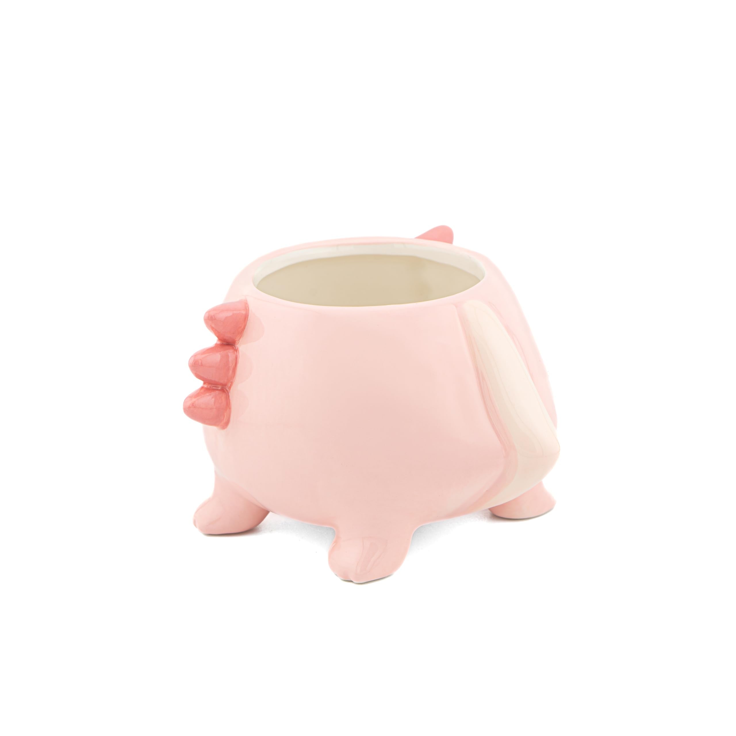 Sass & Belle Axolotl Planter – Ceramic Indoor Plant Pot