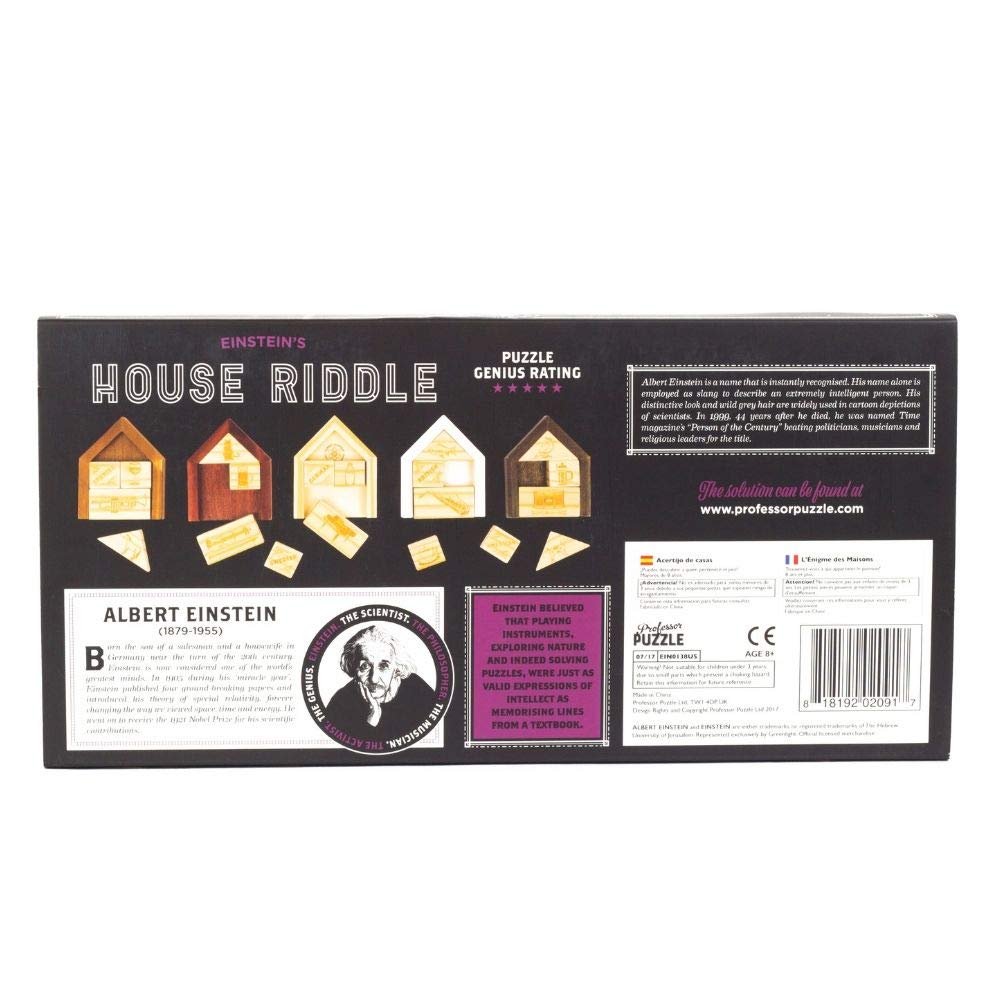 Professor Puzzle Einstein’s House Riddle - Brain Teaser Puzzle Professor PUZZLE