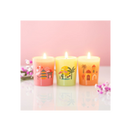 Scents Around the World Scented Candle Trio