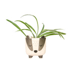Sass & Belle Badger Mini Planter on Legs