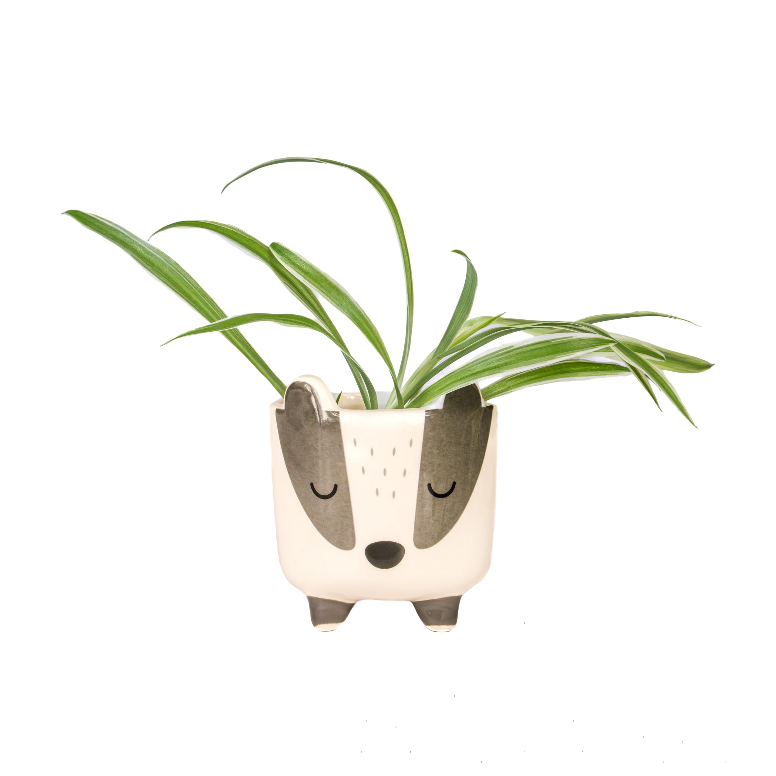 Sass & Belle Badger Mini Planter on Legs