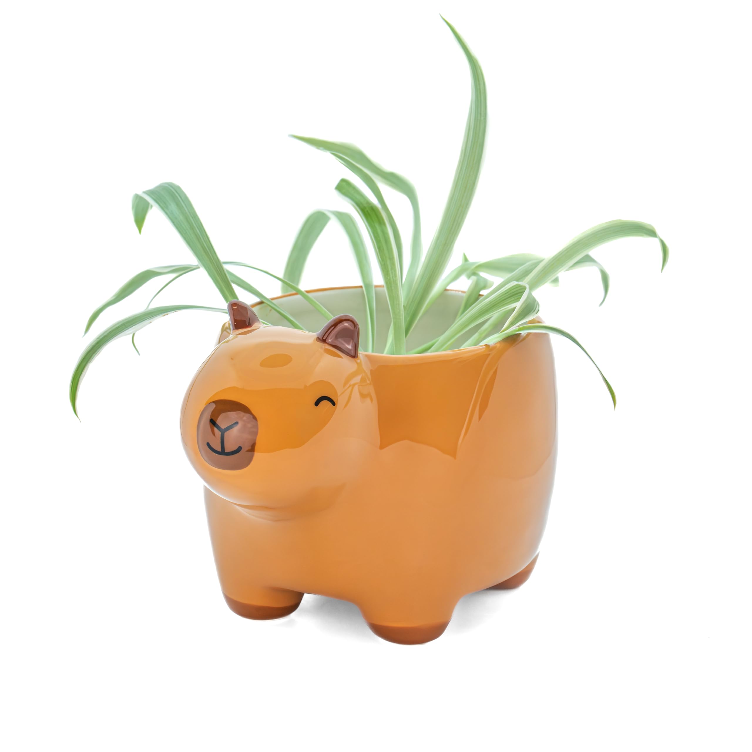 Sass & Belle Capybara Planter