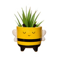 Sass & Belle Mini Bee Planter On Legs