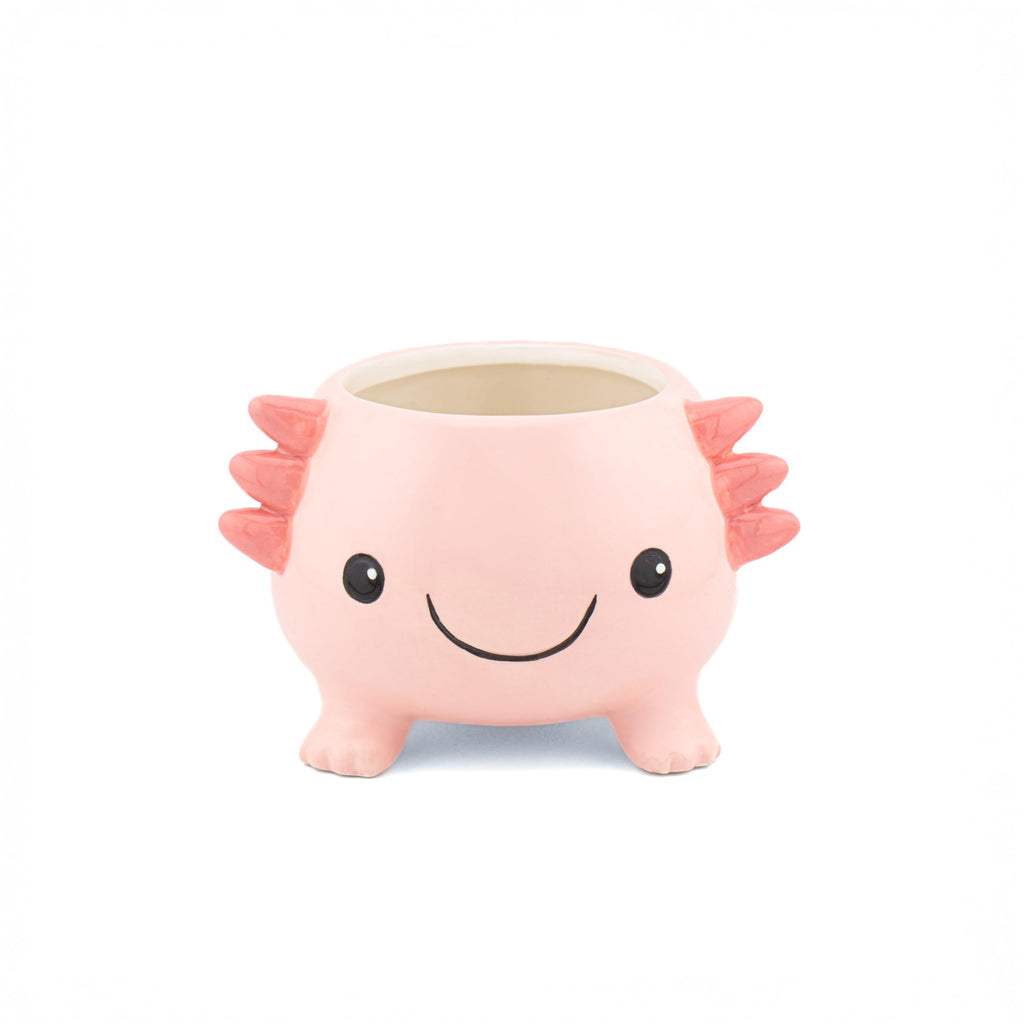Sass & Belle Axolotl Planter – Ceramic Indoor Plant Pot