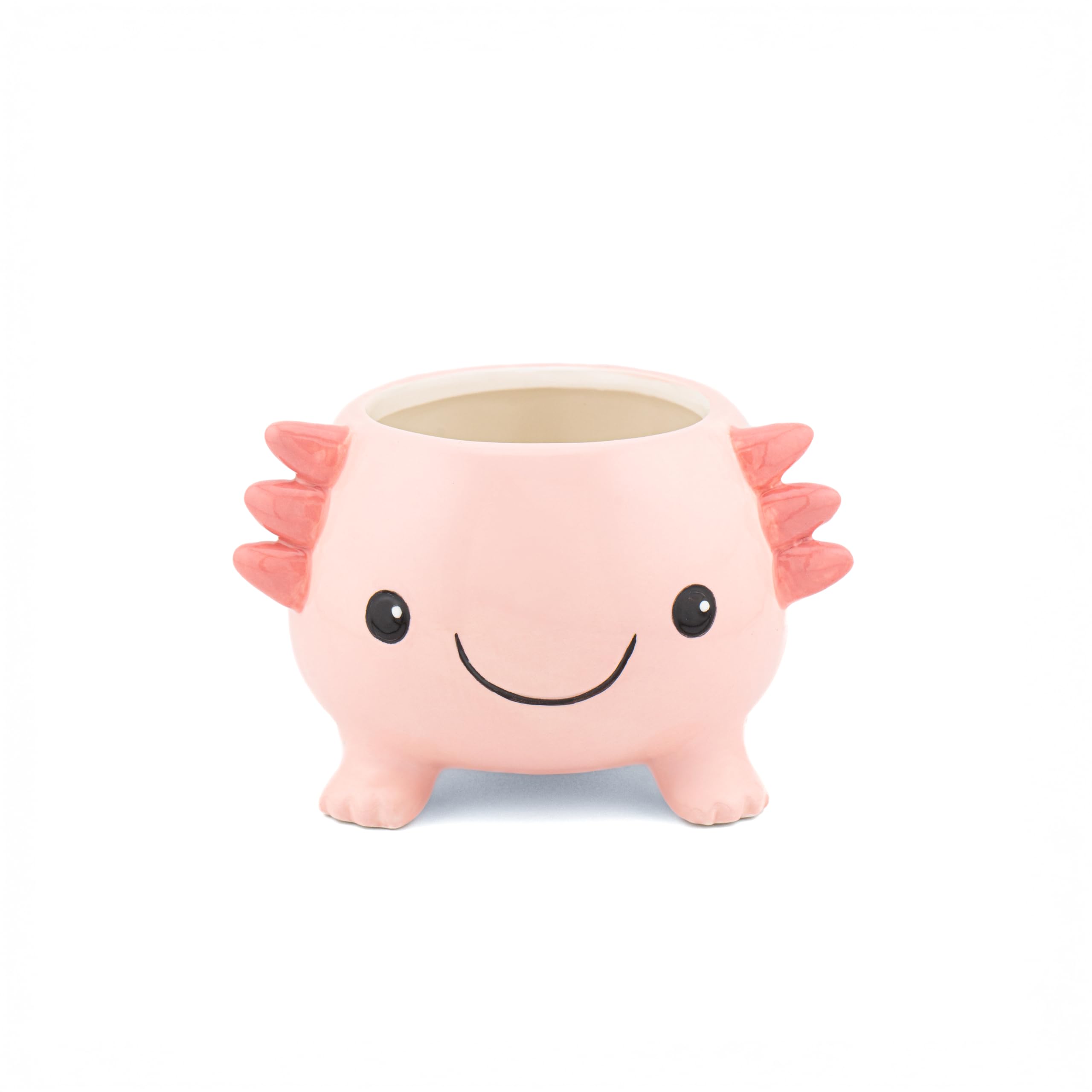 Sass & Belle Axolotl Planter – Ceramic Indoor Plant Pot