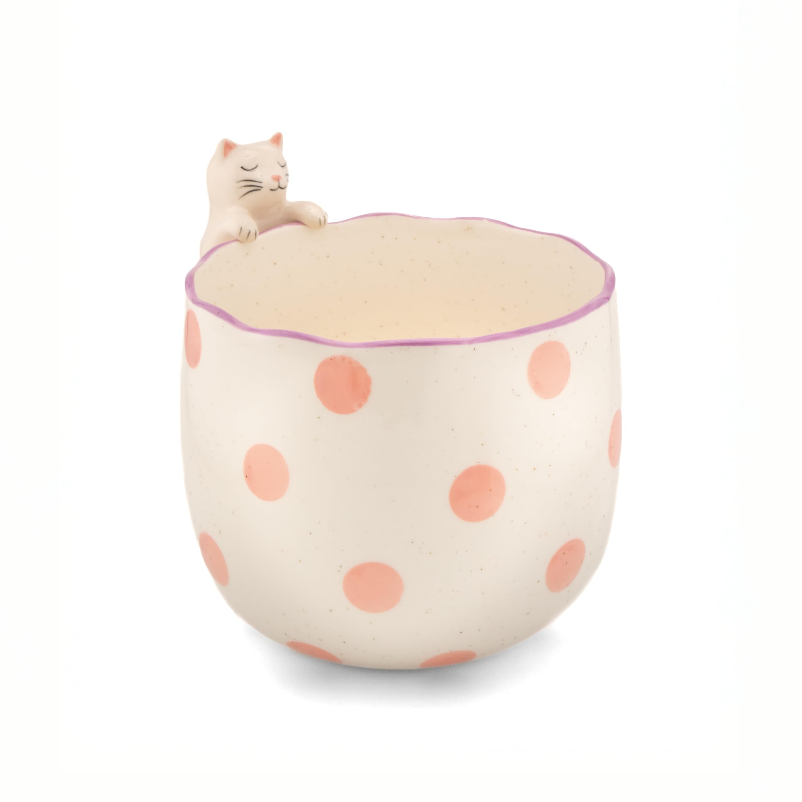 Sass & Belle Peeking Sausage Dog/Lobster/Cat Planter
