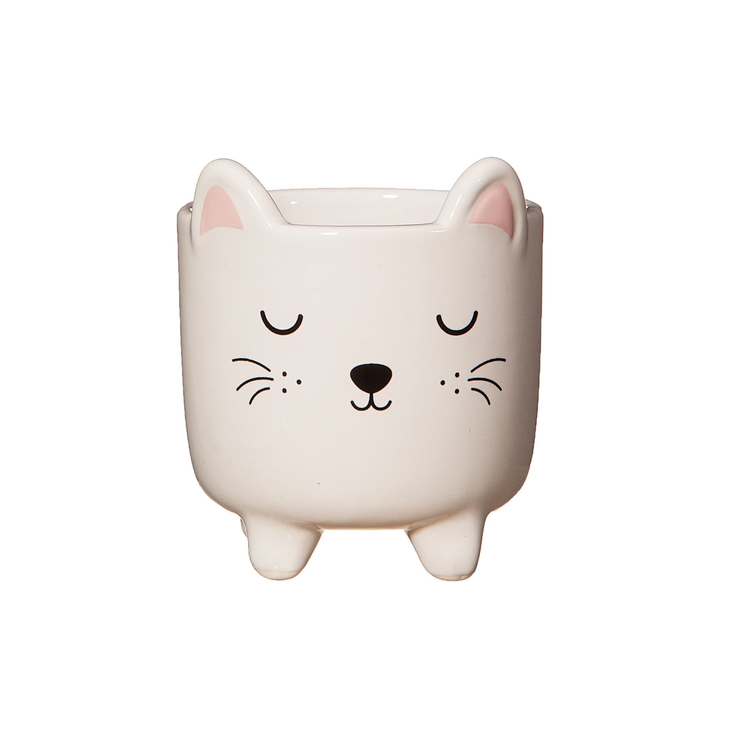 Sass & Belle Mini Cat Planter On Legs