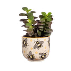 Sass & Belle Busy Bees Small Planter Sass & Belle