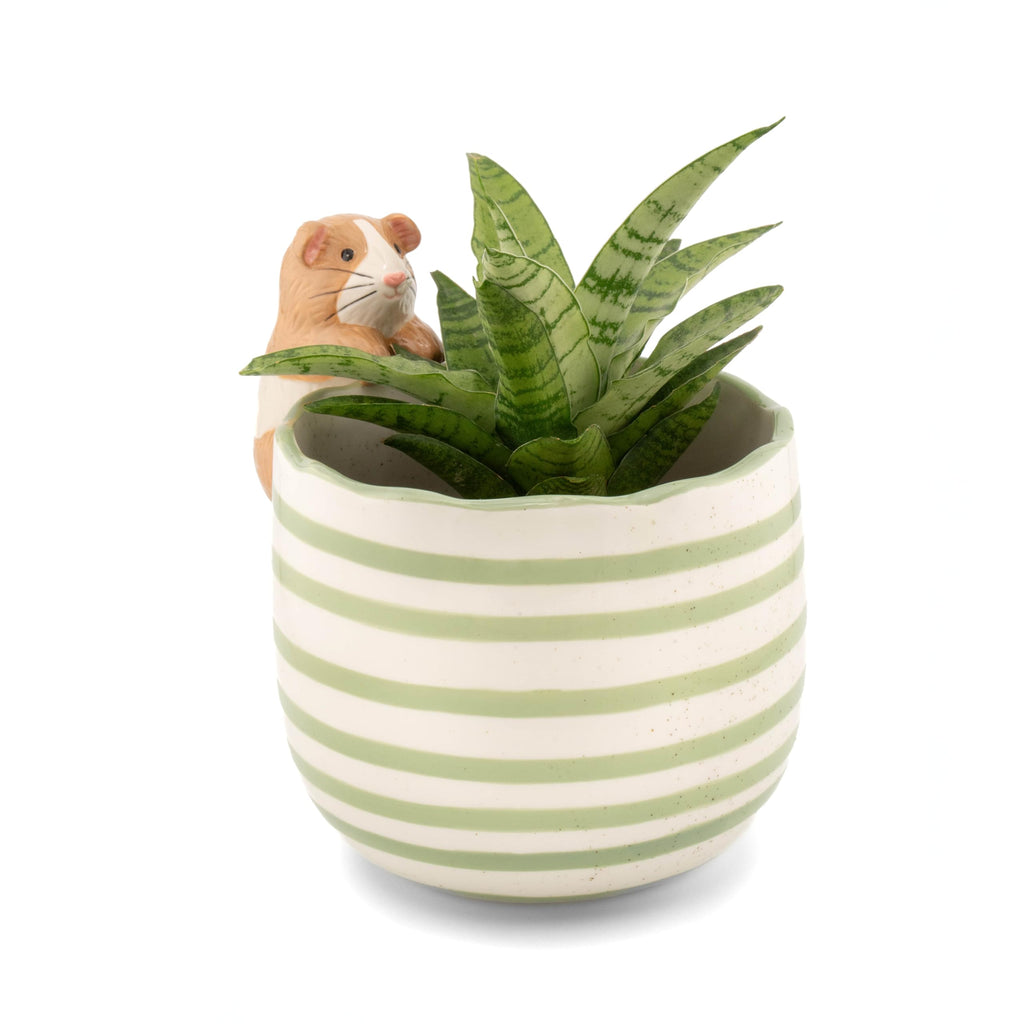 Sass & Belle Peeking Sausage Dog/Lobster/Cat Planter